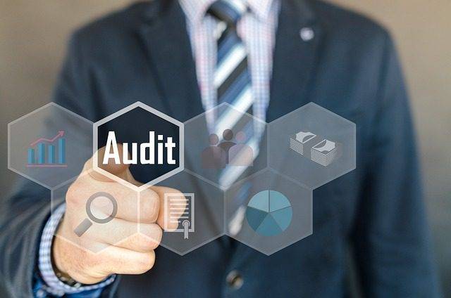 Exploring the Risks of Audits